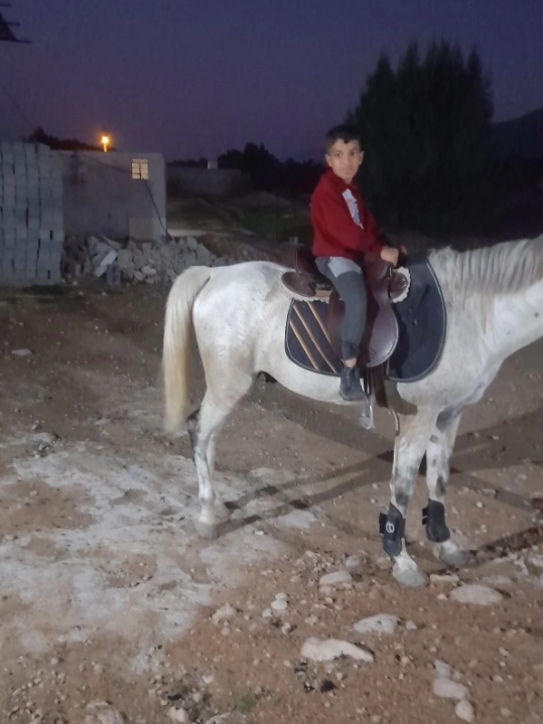 رضاشهبازی