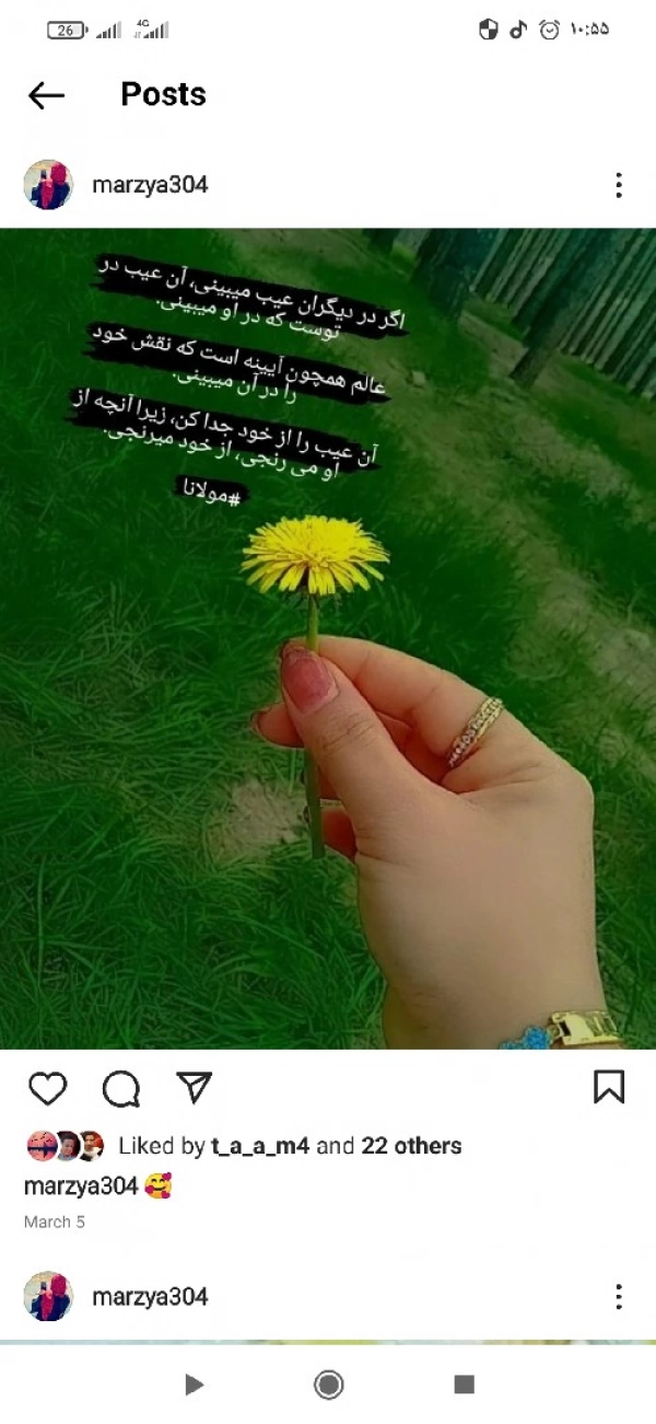 محمد رضا