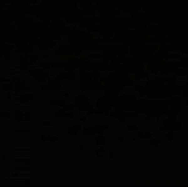 علی