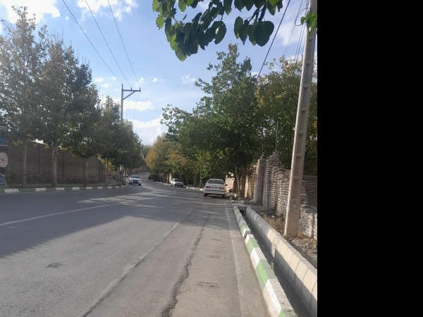 علی