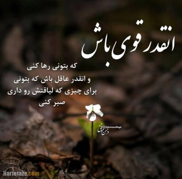 بیتا