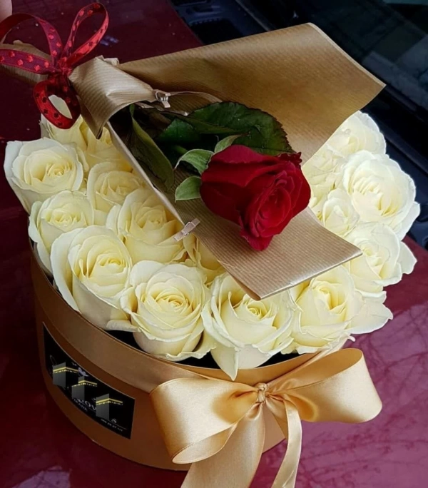 عشق ومحبت