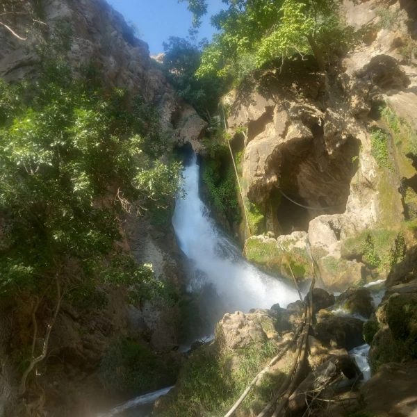جلاد بختیاری