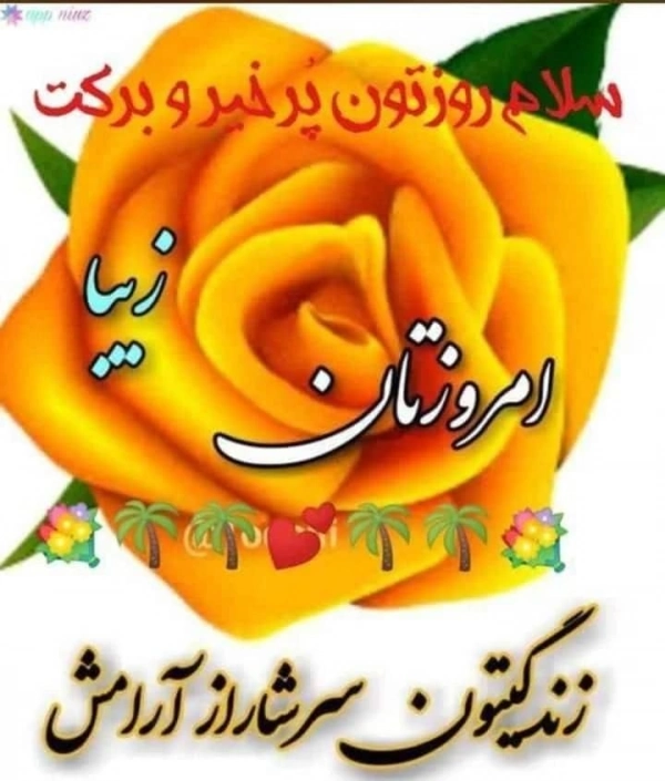 امیر