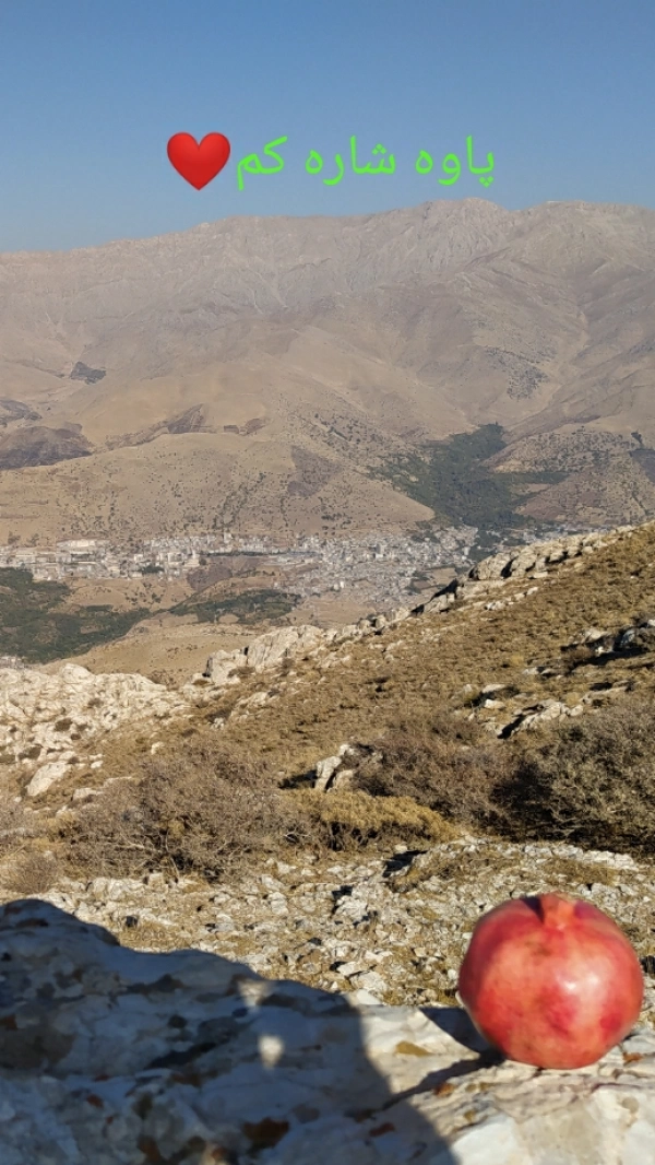 zhiyar