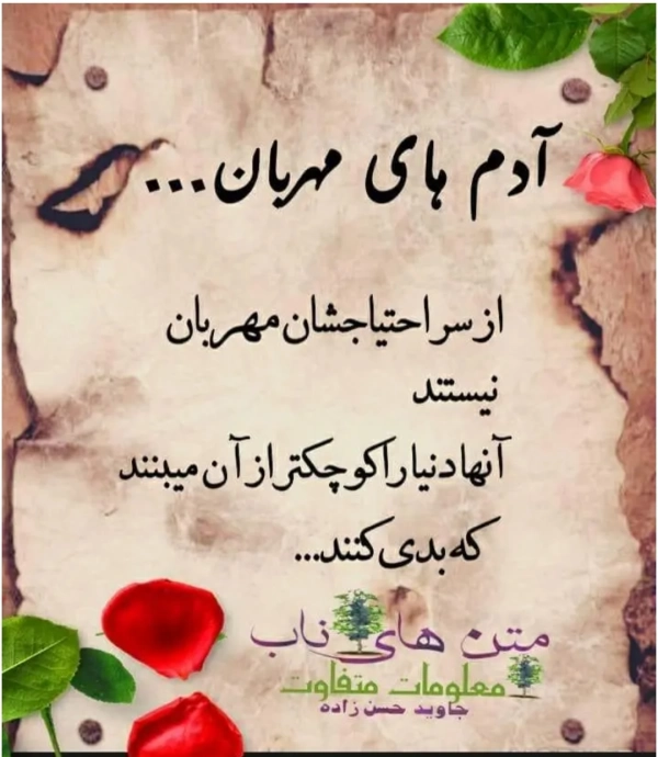 امیر