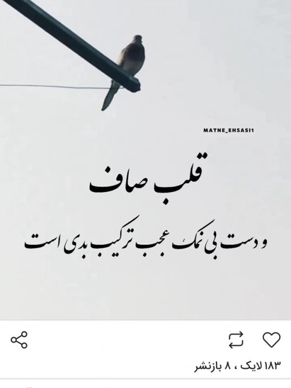 amir