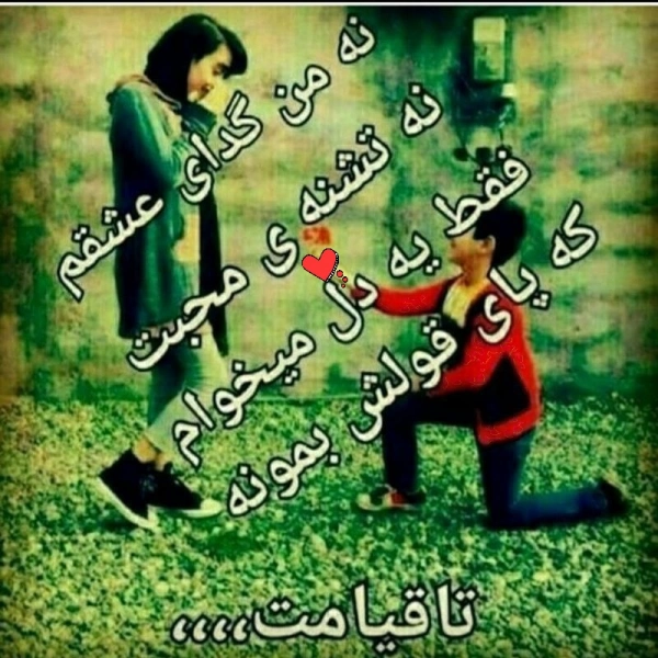 علیرضا