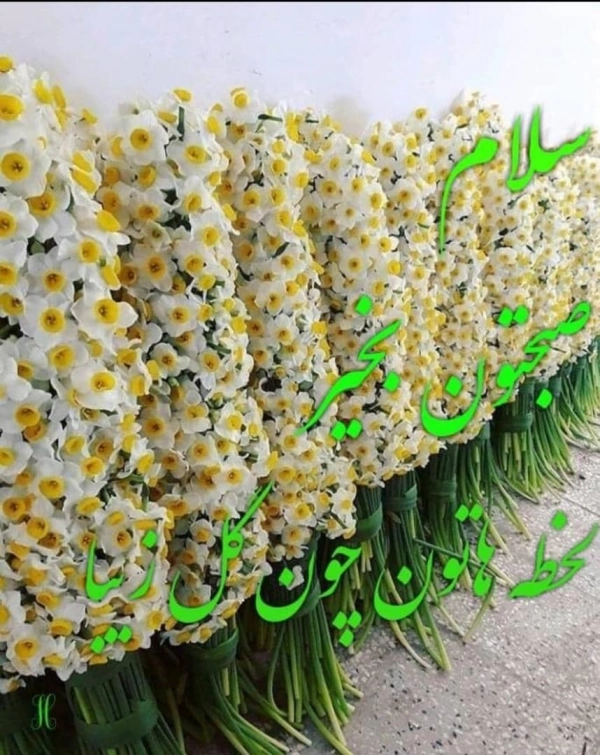 علی