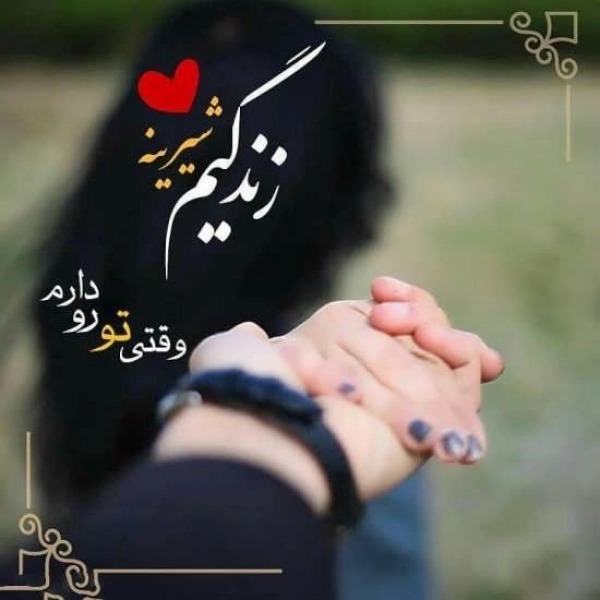 @yp71615