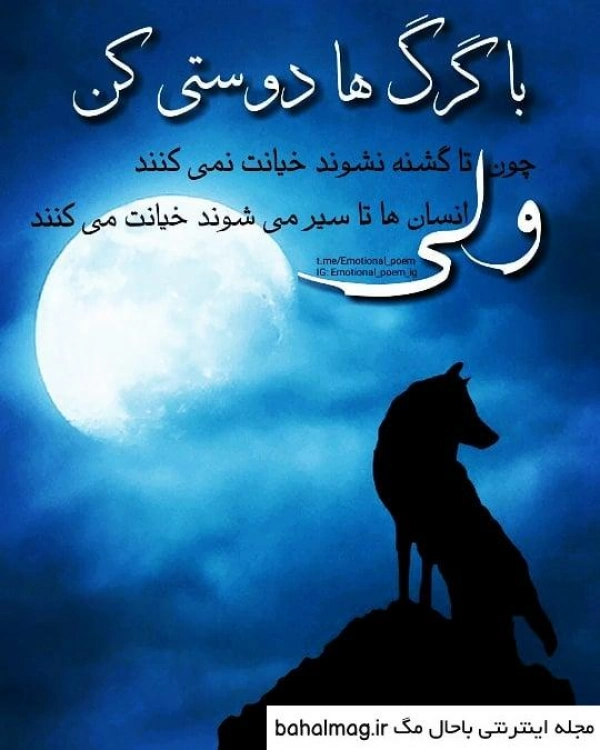 گرگ تنها