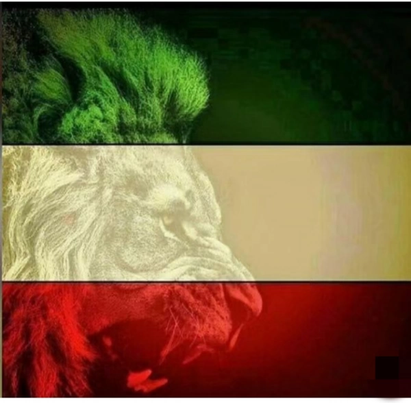 Behrouz 68
