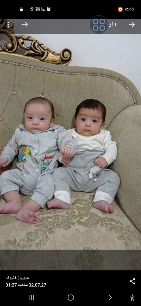 نداریم برار