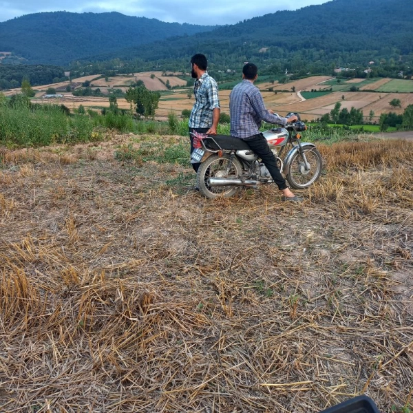 علی