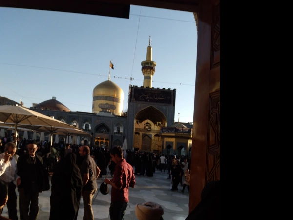 یاسر