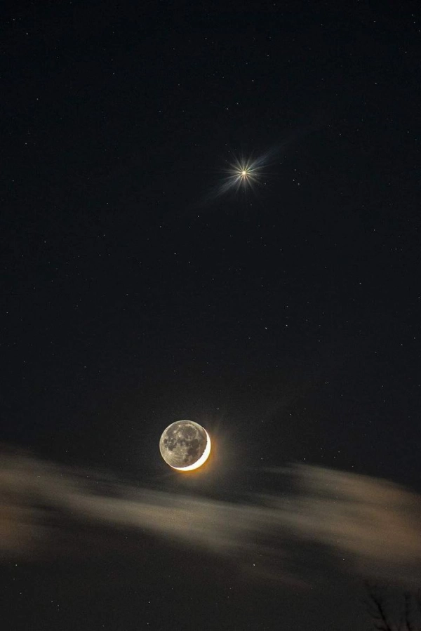 moonlight✨