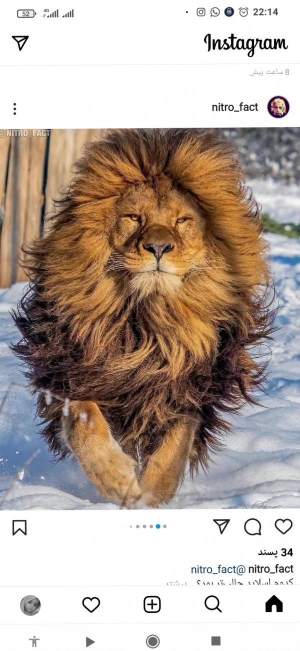سیاه چاله