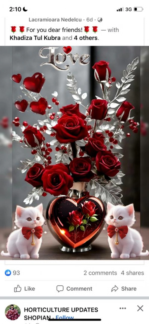 آرش احمدی