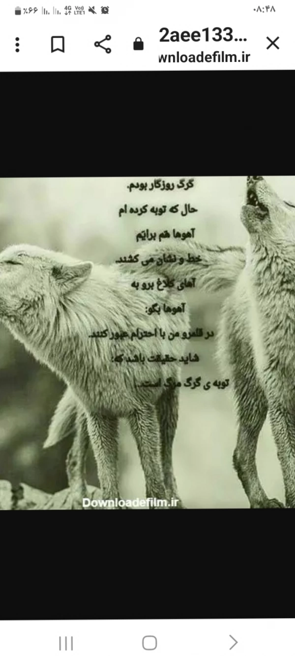بی سرزمین ترازباد