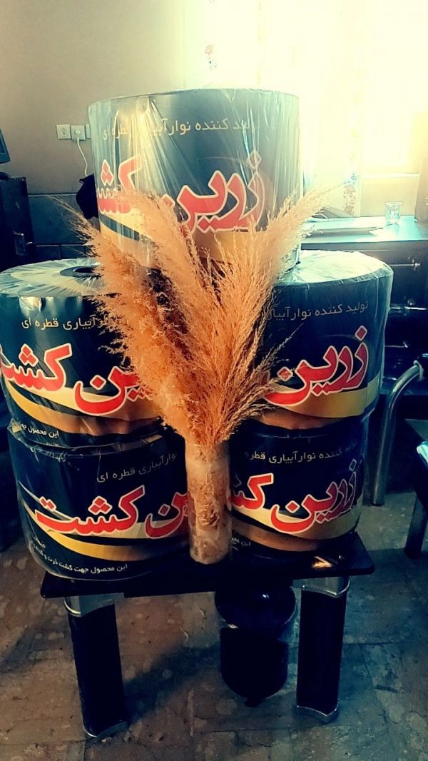 دخی پرسپولیسی