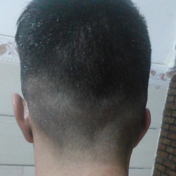 آقا هستم