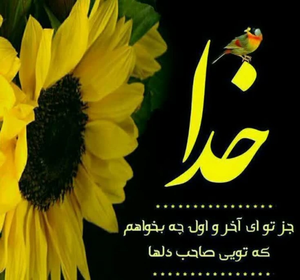 maryam