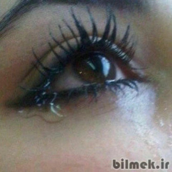 قصر