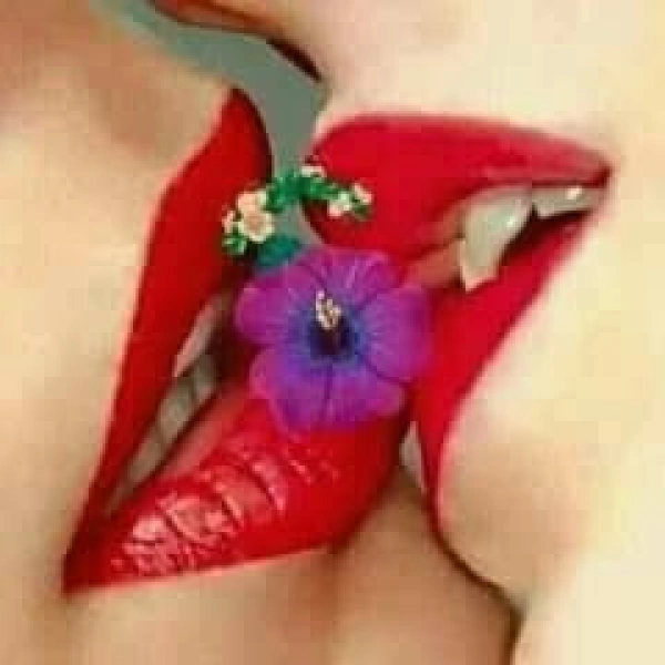 پیسرتنهاvvvvvv