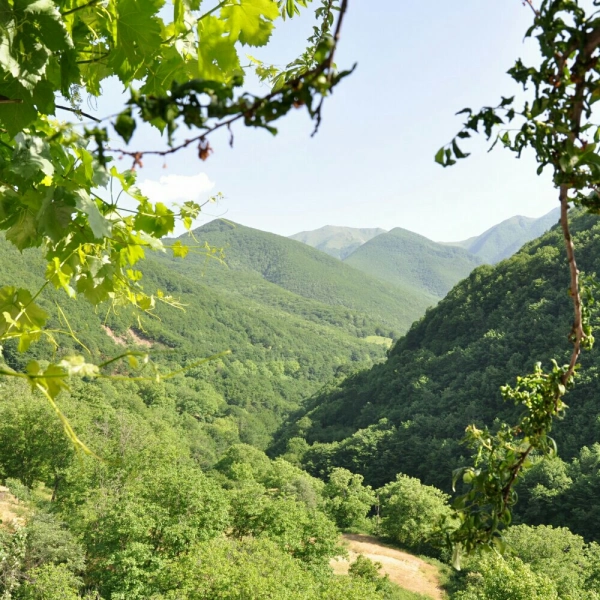 بهنام