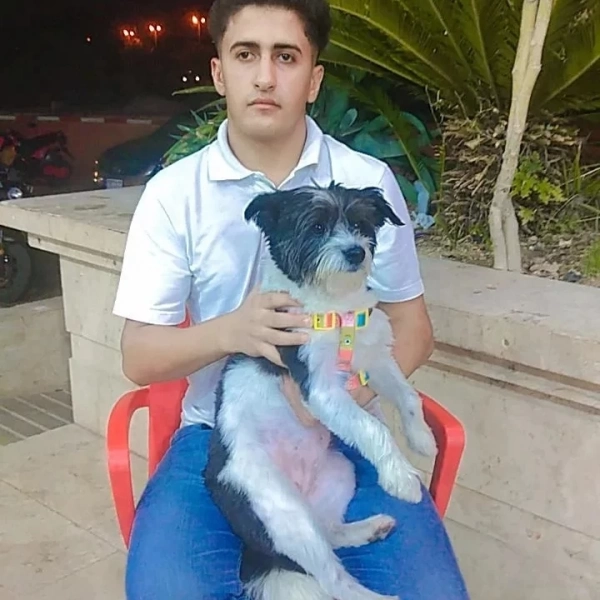 سالاری