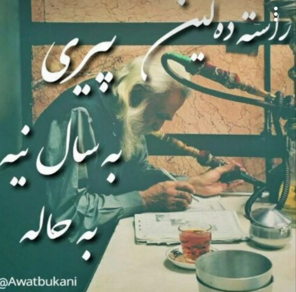 زمین