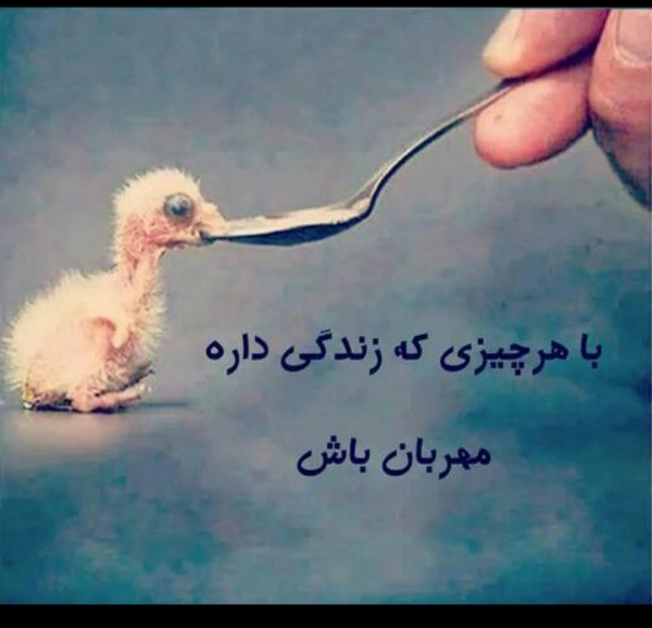 علی