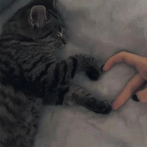 نبتون