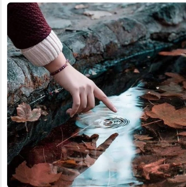 سانیا