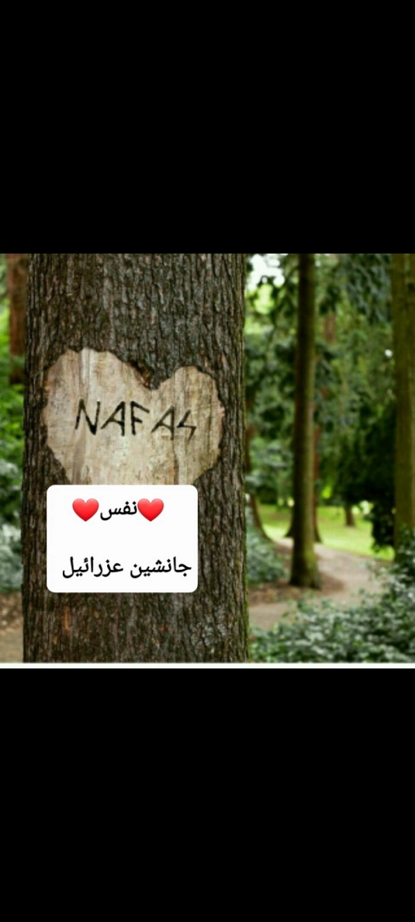 ❤️نفس❤️