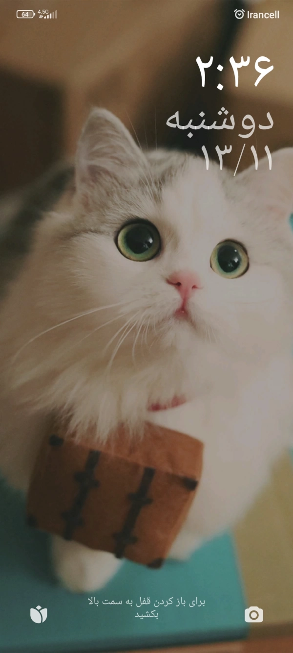 سعید