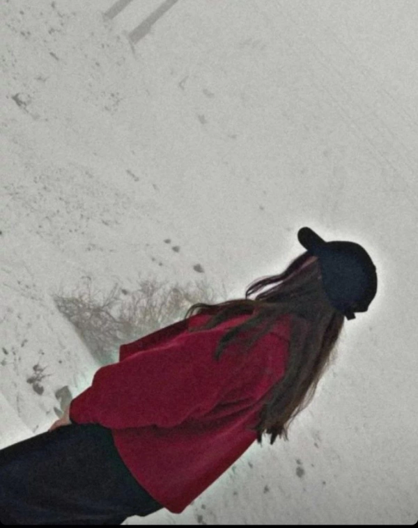 negin