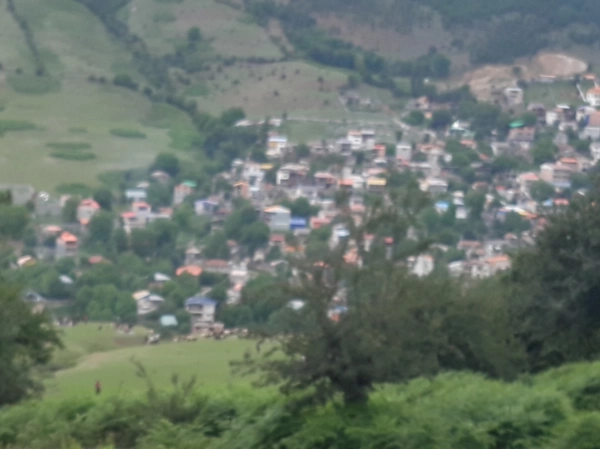 دنبال همسر میگردم
