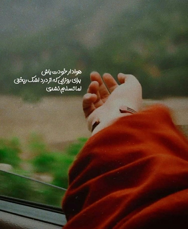 علی کریمی
