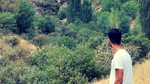 امین