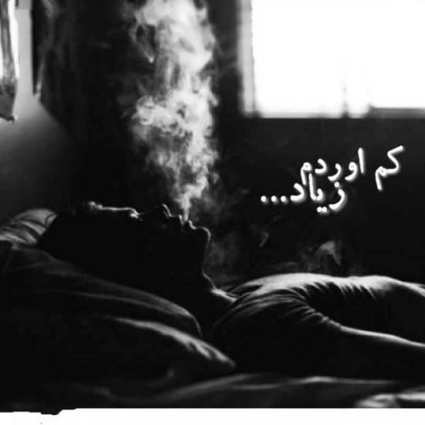 دود