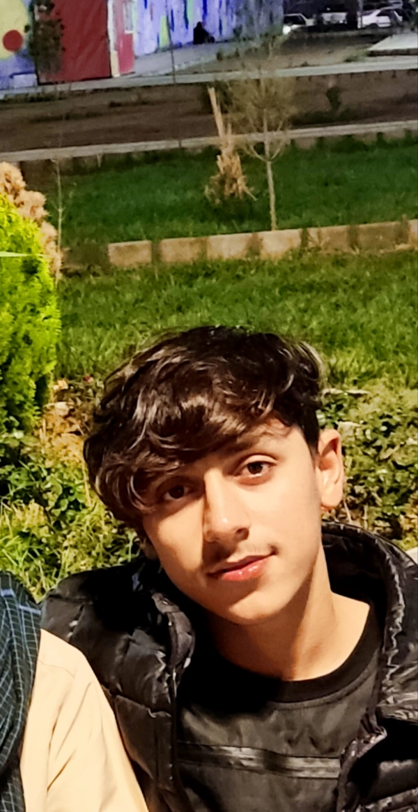 امیر