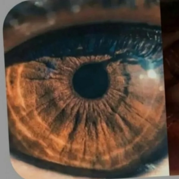 زهل