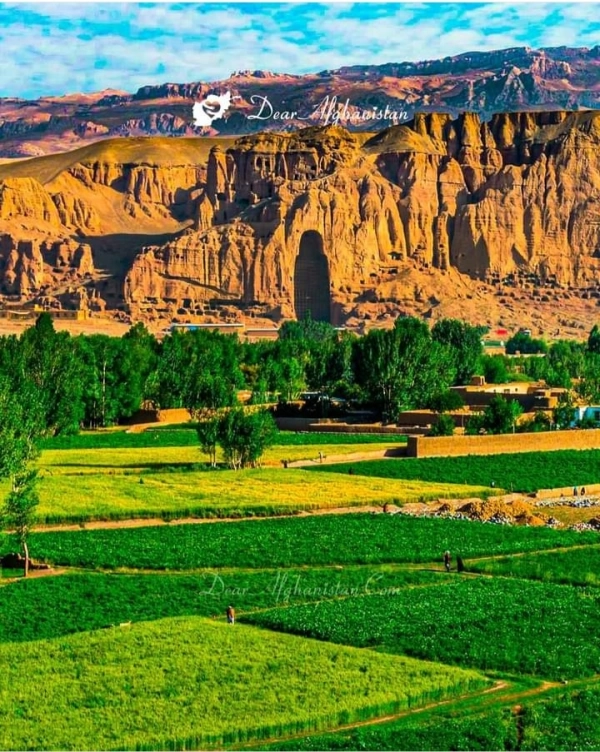 سروش