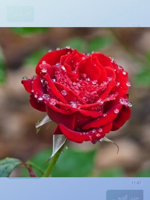 @baran84