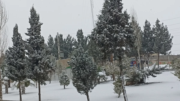 نگین