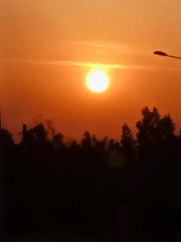 سینا
