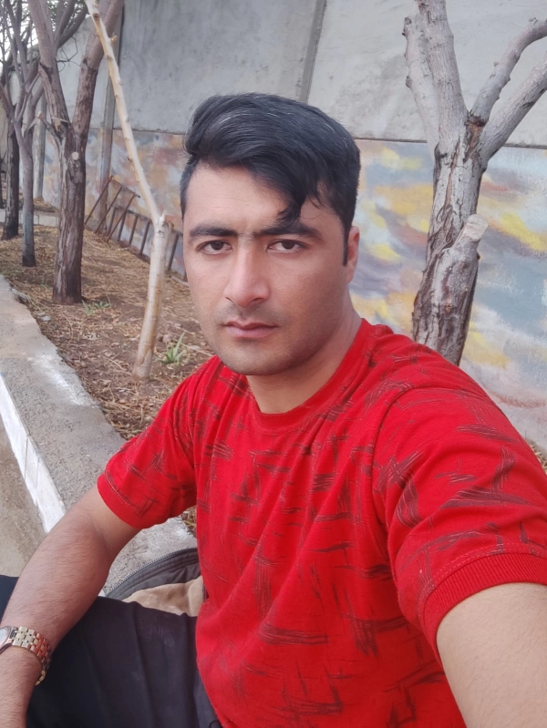 شاهین