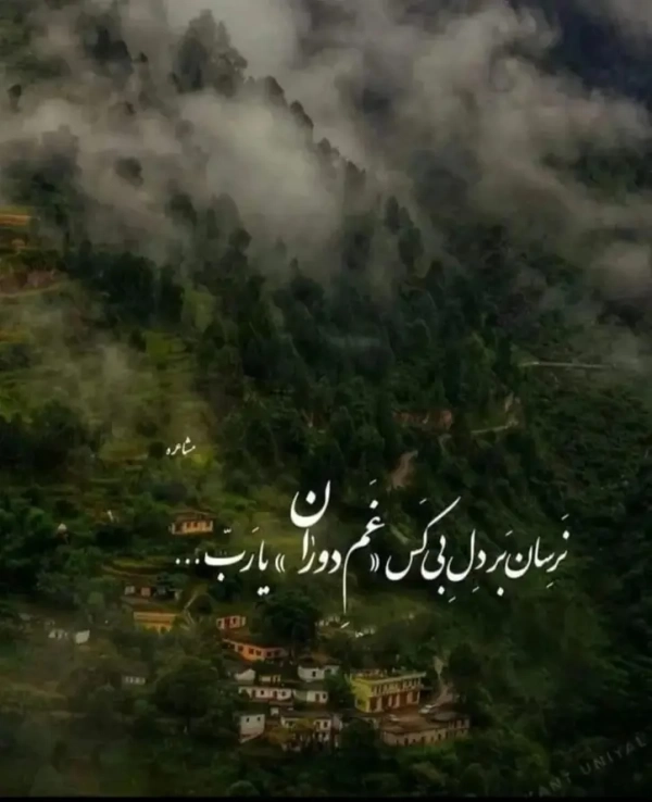 بیکس تنها