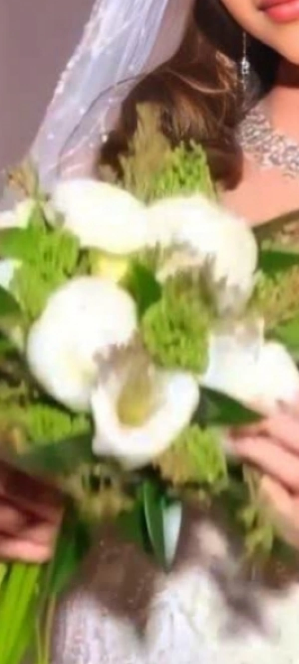 @سارا.